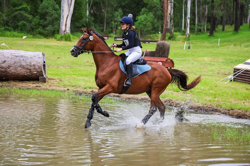 TEG March ODE 2026 80 XC-4990.jpg