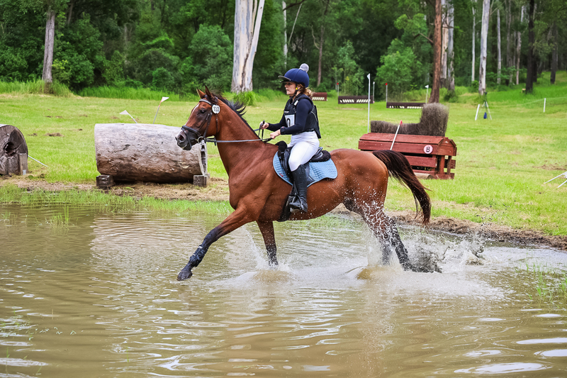 TEG March ODE 2026 80 XC-4992.jpg