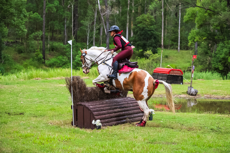 TEG March ODE 2026 80 XC-5003.jpg