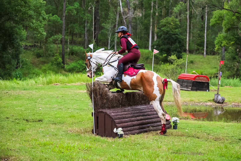 TEG March ODE 2026 80 XC-5004.jpg