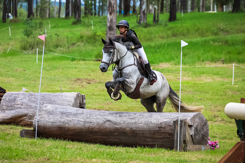 TEG March ODE 2026 80 XC-5006.jpg