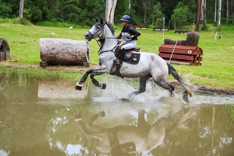 TEG March ODE 2026 80 XC-5012.jpg