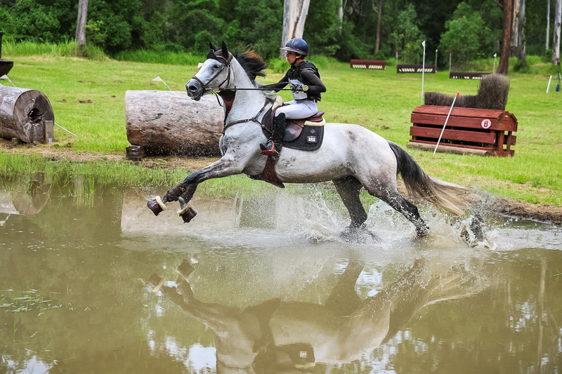 TEG March ODE 2026 80 XC-5013.jpg