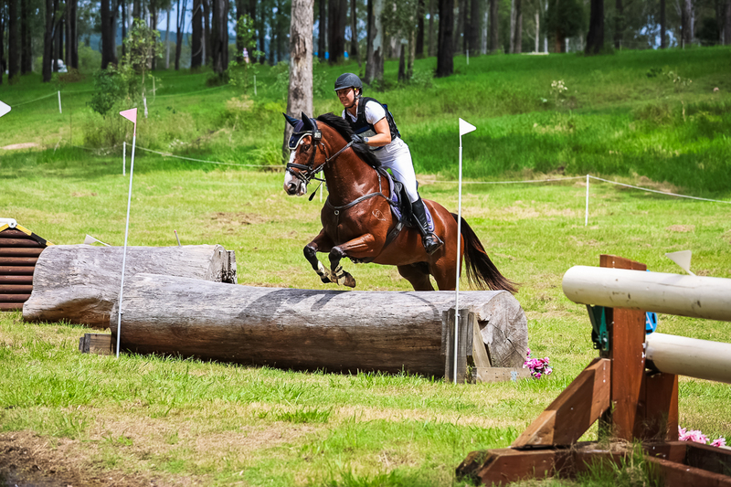 TEG March ODE 2026 80 XC-5016.jpg