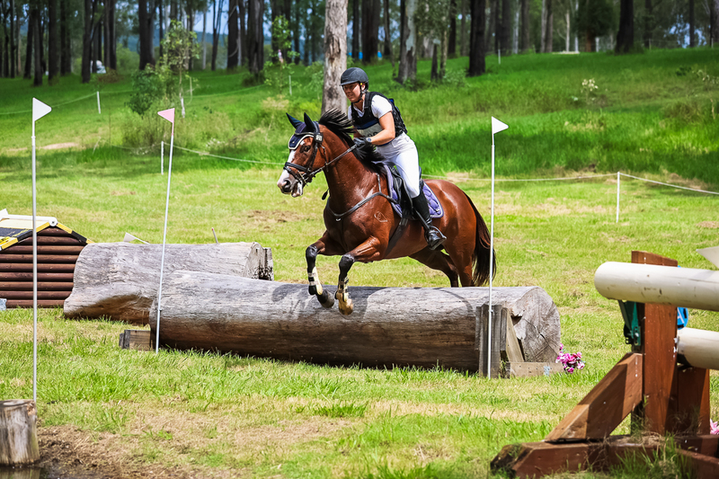 TEG March ODE 2026 80 XC-5017.jpg