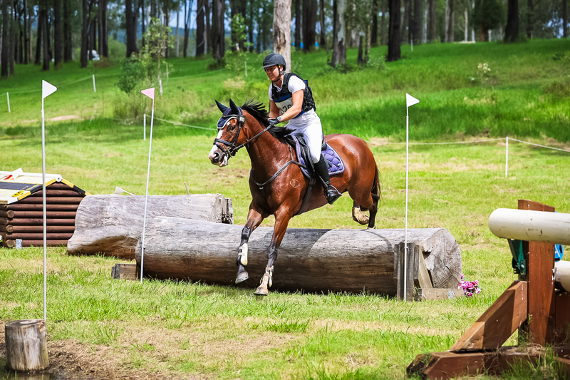 TEG March ODE 2026 80 XC-5018.jpg