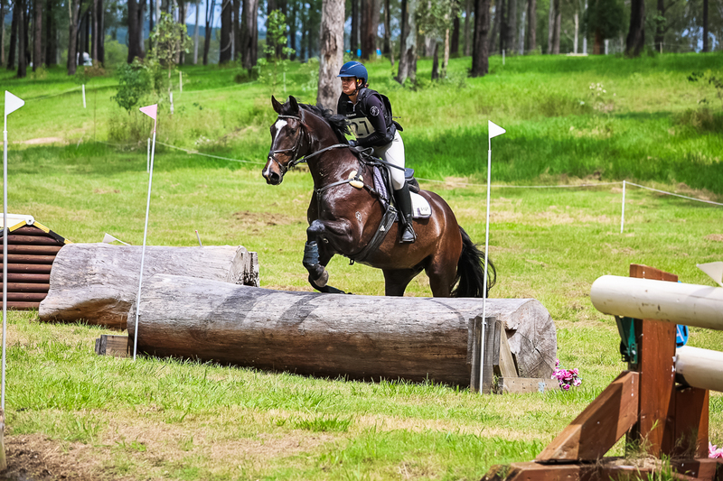 TEG March ODE 2026 80 XC-5025.jpg