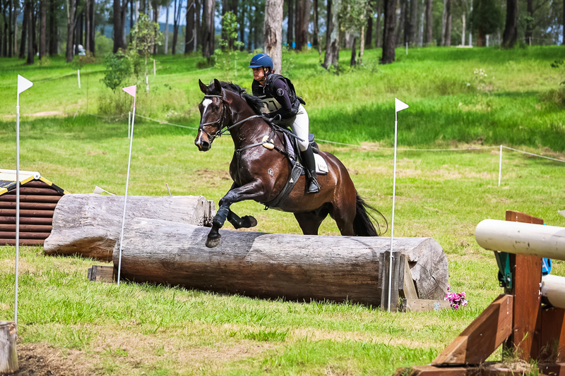 TEG March ODE 2026 80 XC-5026.jpg