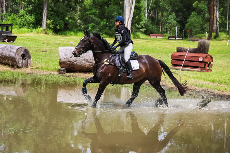 TEG March ODE 2026 80 XC-5028.jpg