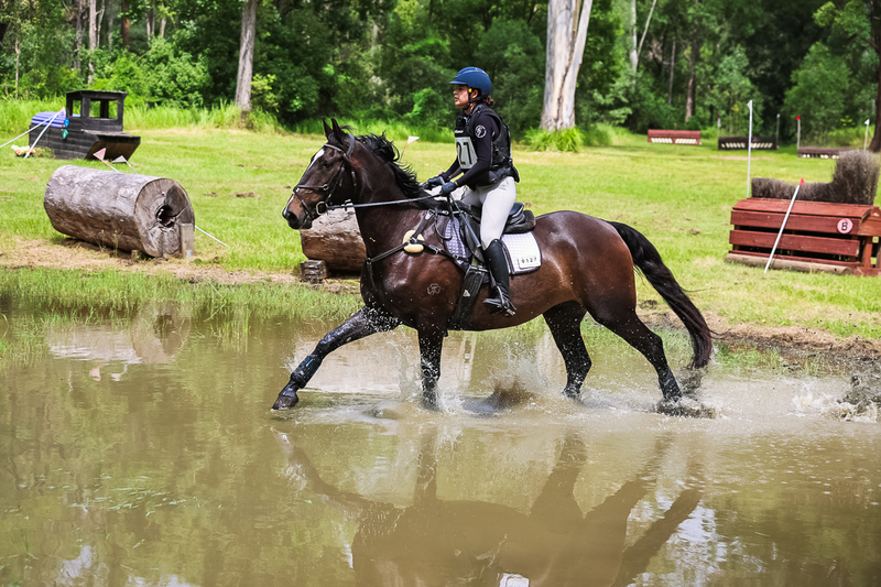 TEG March ODE 2026 80 XC-5029.jpg