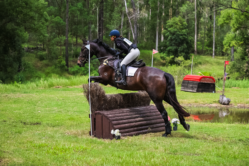 TEG March ODE 2026 80 XC-5031.jpg