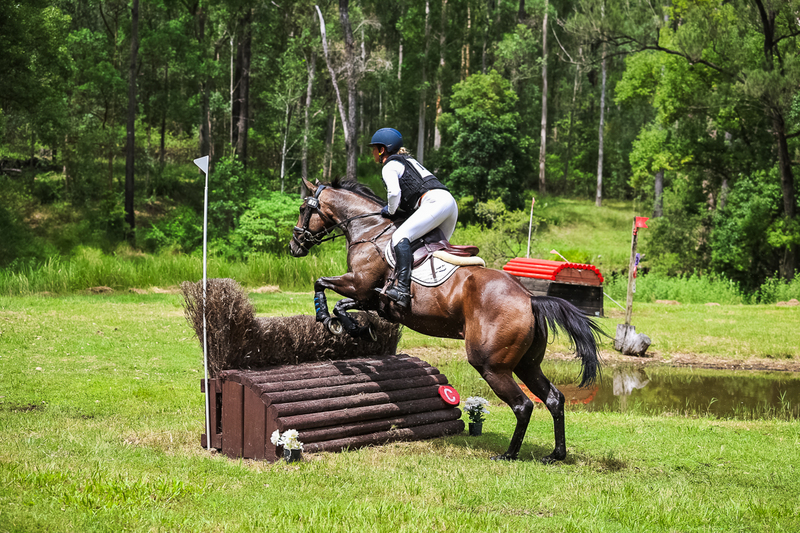 TEG March ODE 2026 80 XC-5039.jpg