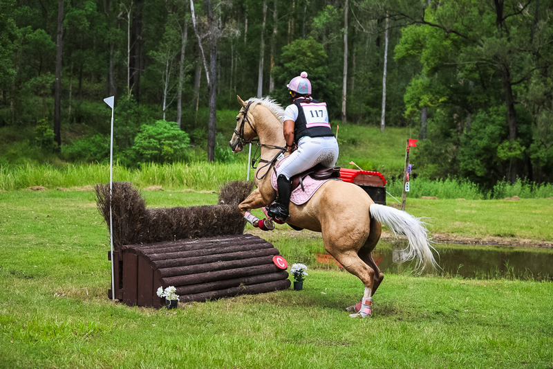 TEG March ODE 2026 80 XC-5047.jpg