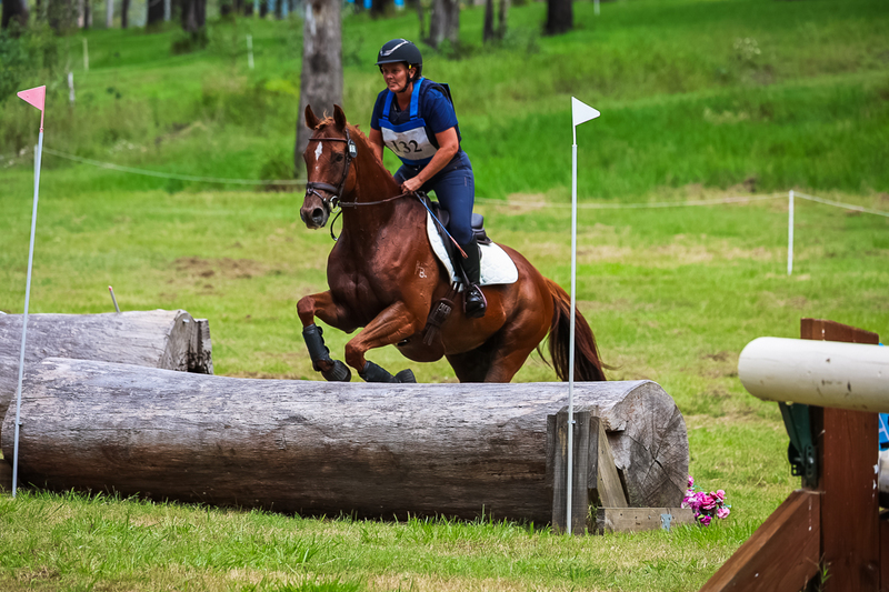 TEG March ODE 2026 80 XC-5050.jpg