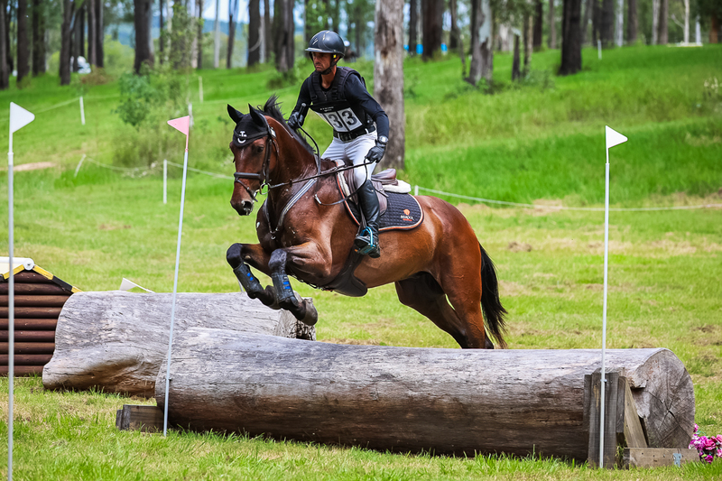 TEG March ODE 2026 80 XC-5060.jpg