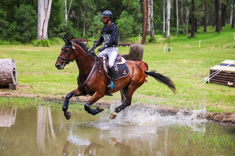 TEG March ODE 2026 80 XC-5062.jpg