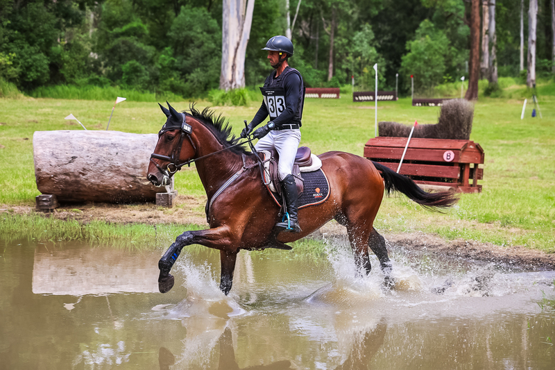 TEG March ODE 2026 80 XC-5064.jpg