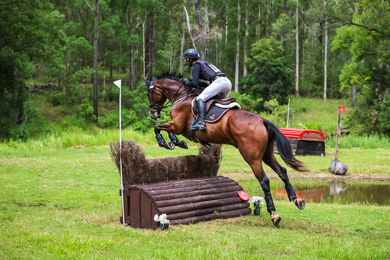 TEG March ODE 2026 80 XC-5067.jpg