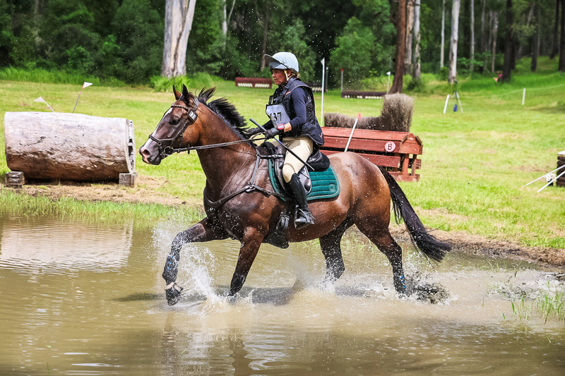 TEG March ODE 2026 80 XC-5090.jpg