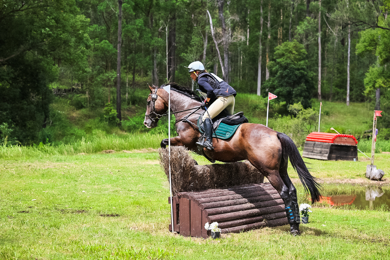 TEG March ODE 2026 80 XC-5093.jpg