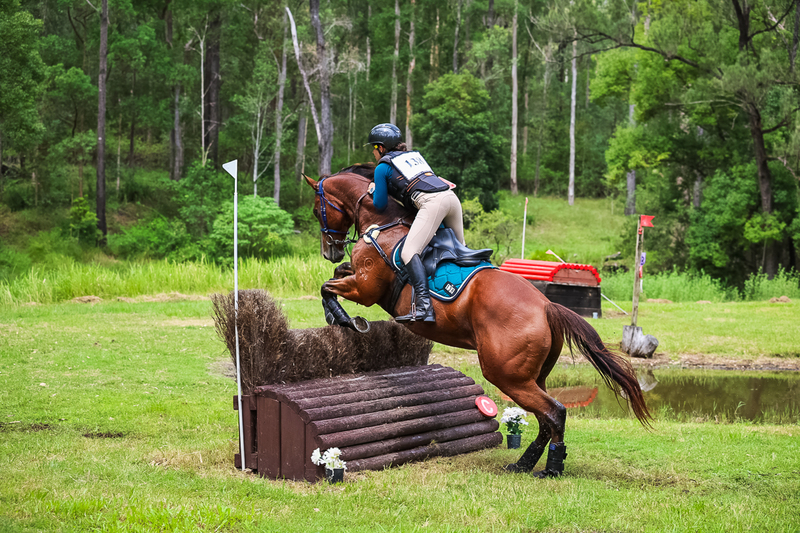 TEG March ODE 2026 80 XC-5101.jpg