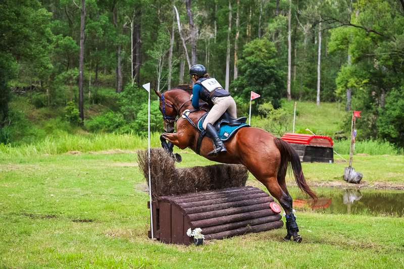 TEG March ODE 2026 80 XC-5102.jpg