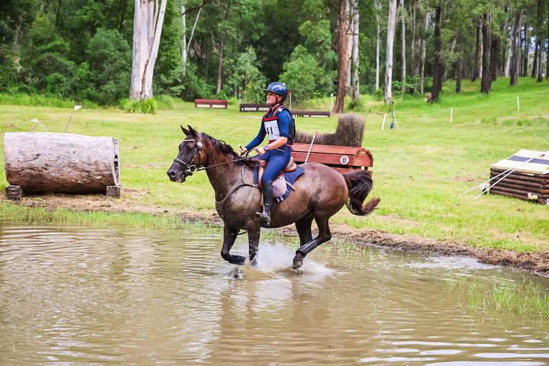 TEG March ODE 2026 80 XC-5110.jpg