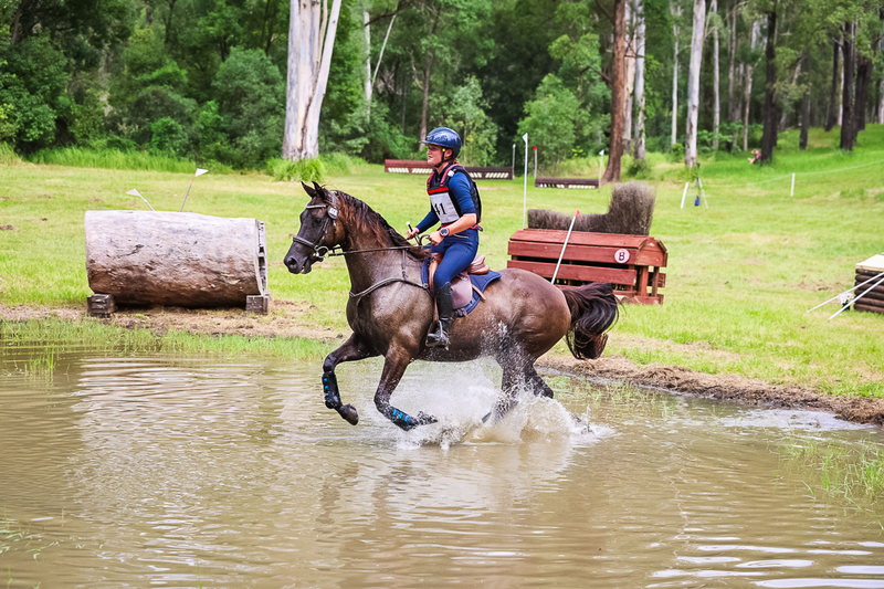 TEG March ODE 2026 80 XC-5111.jpg