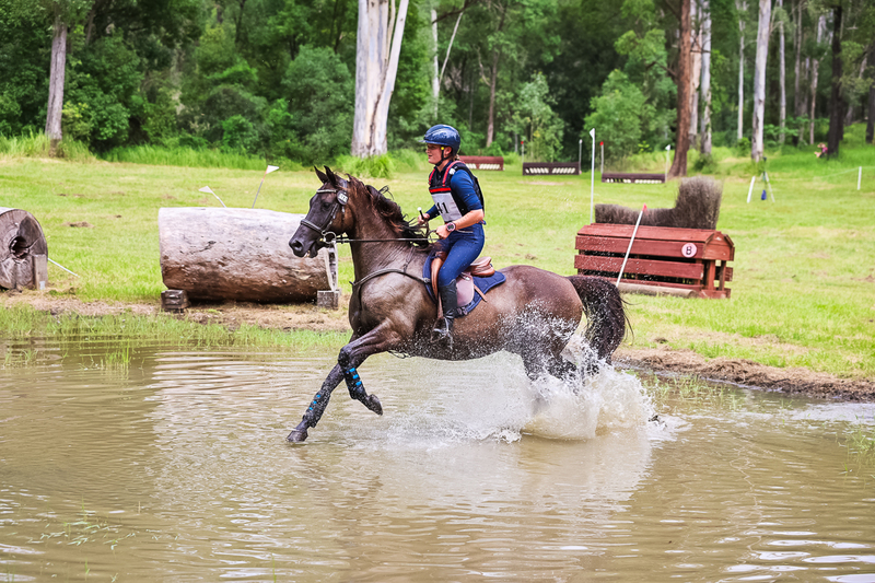 TEG March ODE 2026 80 XC-5112.jpg