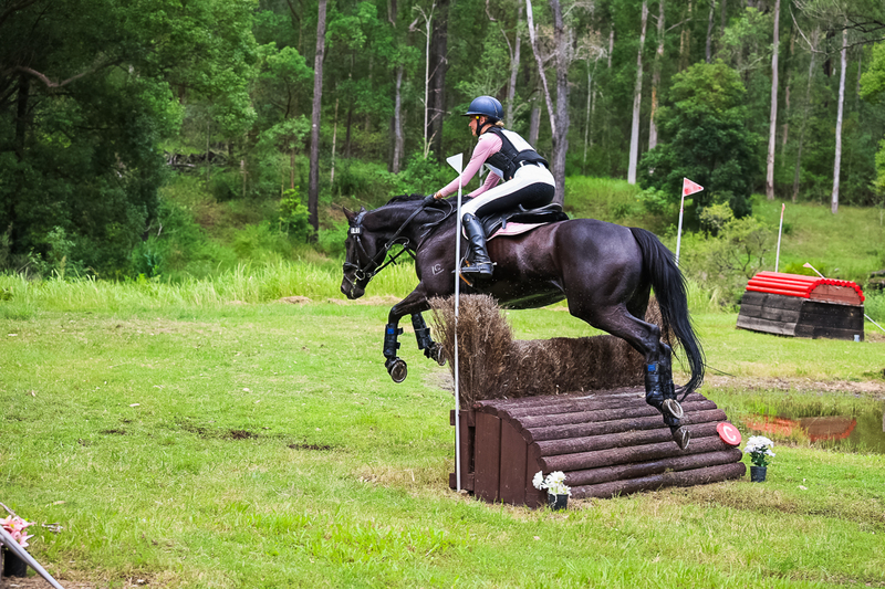 TEG March ODE 2026 80 XC-5124.jpg