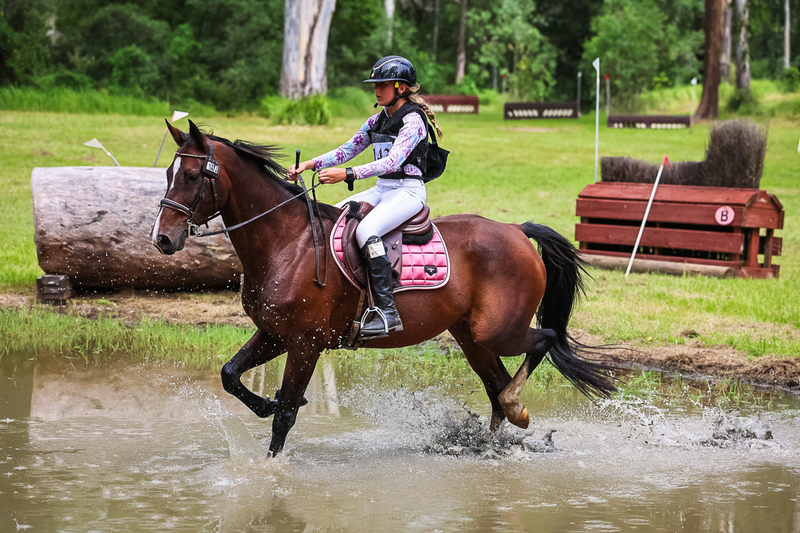 TEG March ODE 2026 80 XC-5130.jpg