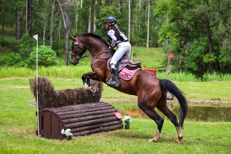 TEG March ODE 2026 80 XC-5131.jpg