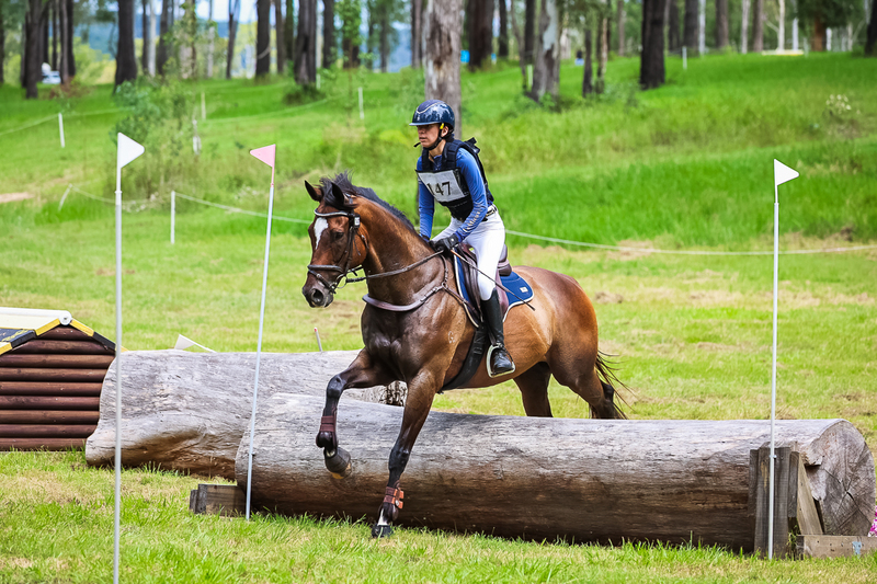 TEG March ODE 2026 80 XC-5136.jpg