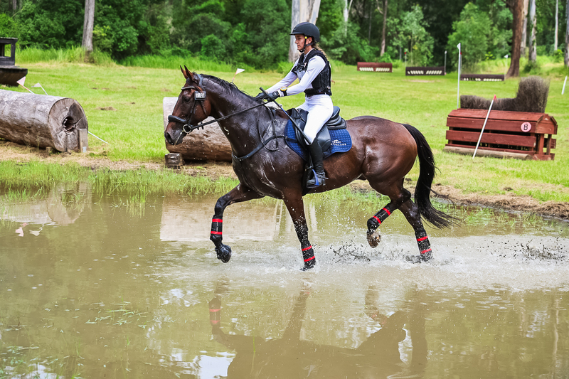 TEG March ODE 2026 80 XC-5149.jpg