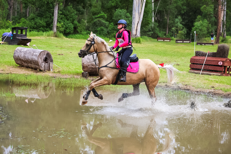 TEG March ODE 2026 80 XC-5157.jpg