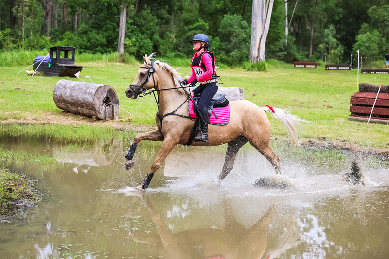 TEG March ODE 2026 80 XC-5158.jpg