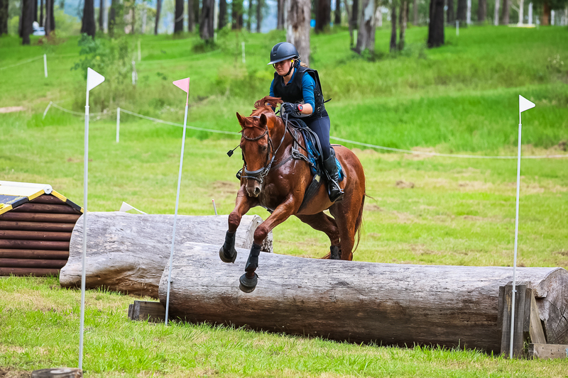 TEG March ODE 2026 80 XC-5170.jpg