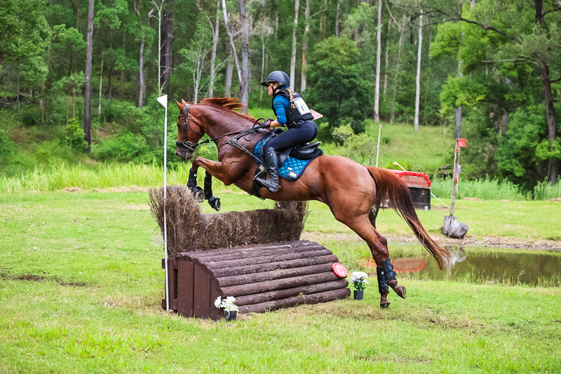 TEG March ODE 2026 80 XC-5175.jpg