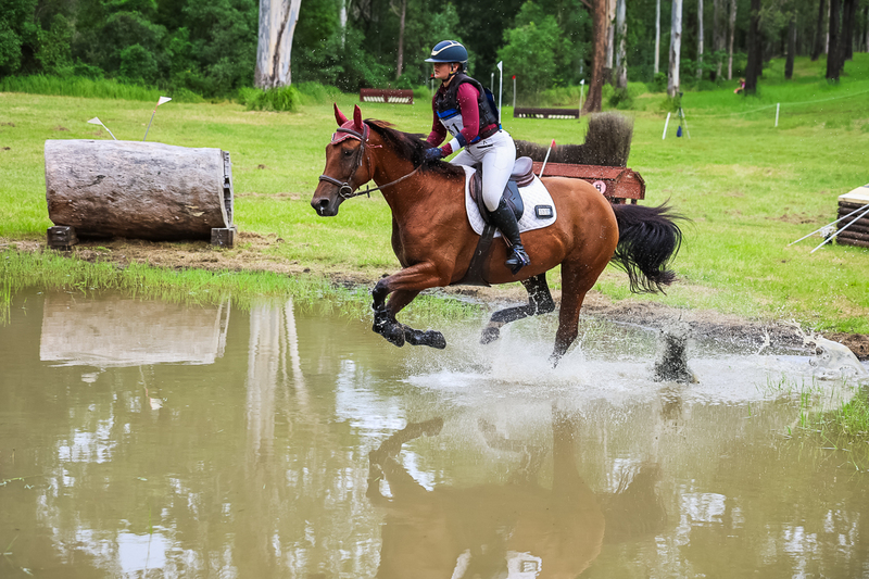 TEG March ODE 2026 80 XC-5191.jpg