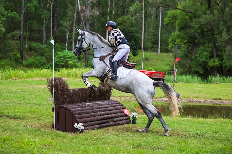 TEG March ODE 2026 80 XC-5201.jpg