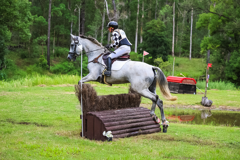 TEG March ODE 2026 80 XC-5203.jpg