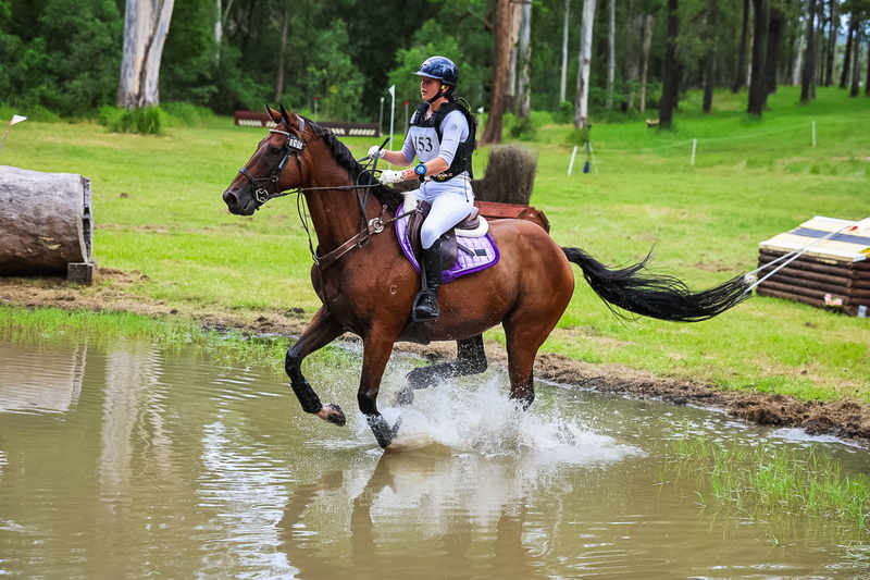 TEG March ODE 2026 80 XC-5208.jpg