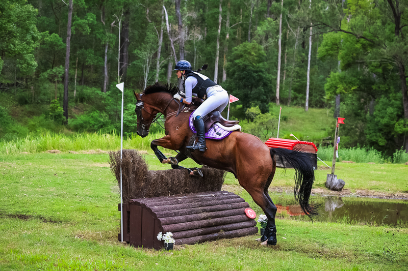 TEG March ODE 2026 80 XC-5210.jpg