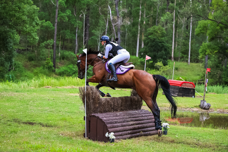 TEG March ODE 2026 80 XC-5211.jpg