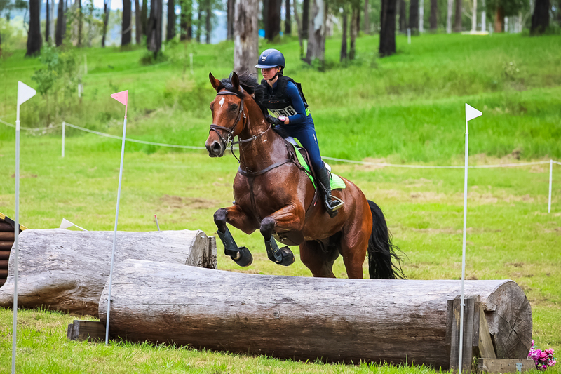 TEG March ODE 2026 80 XC-5213.jpg