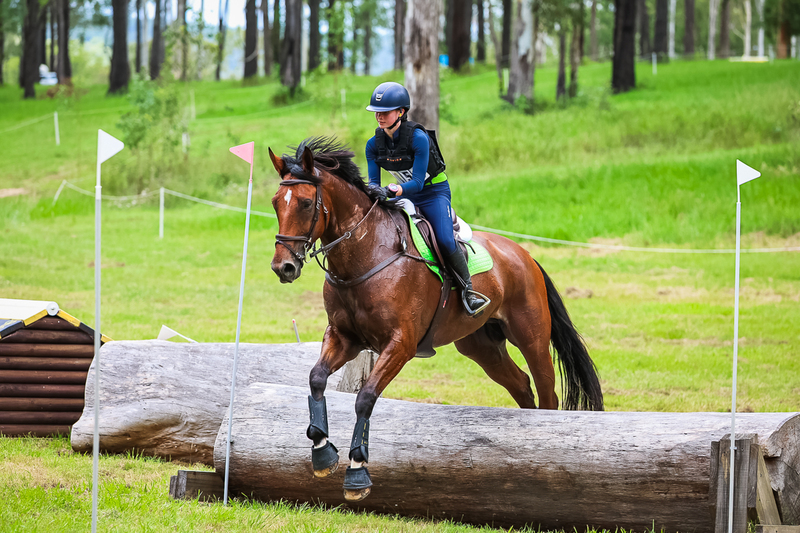 TEG March ODE 2026 80 XC-5215.jpg