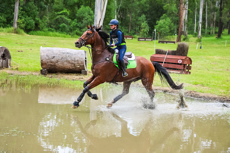 TEG March ODE 2026 80 XC-5216.jpg