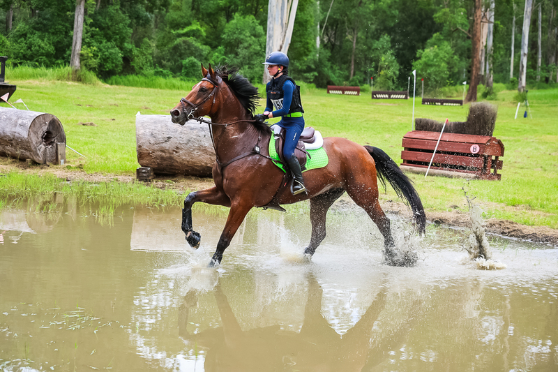 TEG March ODE 2026 80 XC-5217.jpg