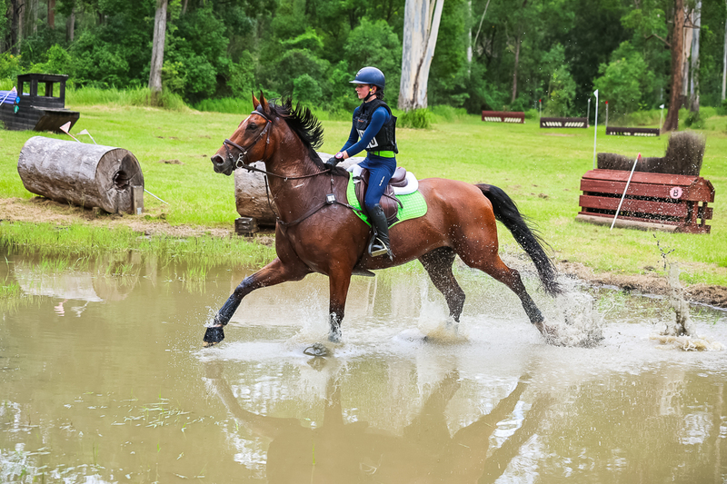 TEG March ODE 2026 80 XC-5218.jpg