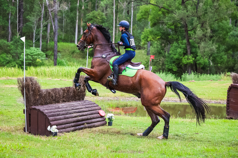 TEG March ODE 2026 80 XC-5219.jpg